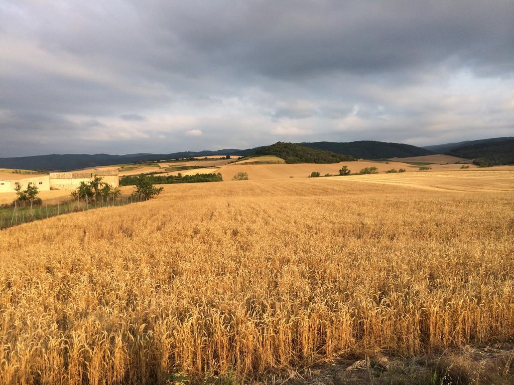 Mihotelito Viloria de Rioja ภายนอก รูปภาพ